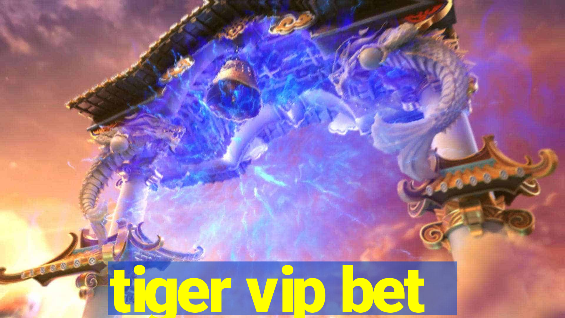 tiger vip bet